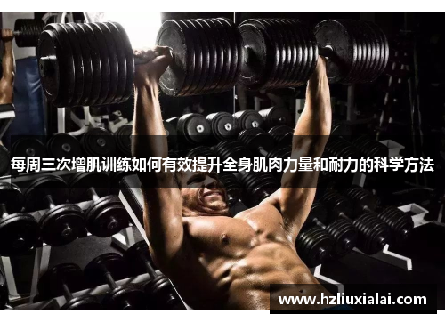 每周三次增肌训练如何有效提升全身肌肉力量和耐力的科学方法